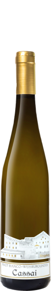 Pinot Blanc Cassai Trentino DOC 2022 